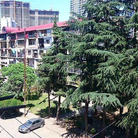 Comfortable Apartment In Батумі Екстер'єр фото